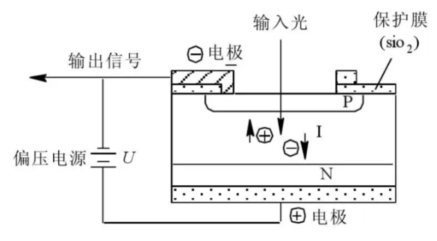 1713492901412952.png image.png